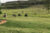 IMG-20220922-WA0020