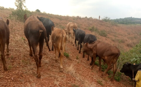 IMG_20220902_160622_537