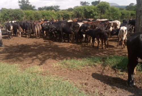 IMG_20220926_143814_659