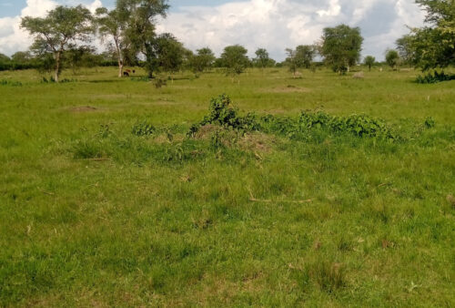 IMG_20220926_143949_494