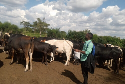 IMG_20220926_145720_862