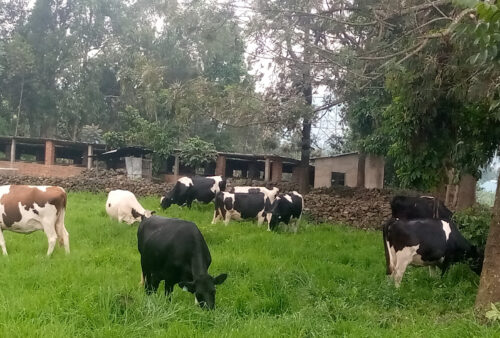 IMG_20221004_122943_590