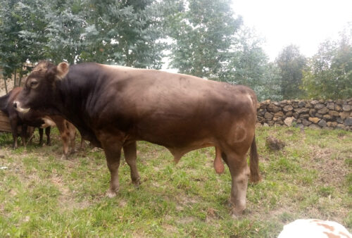 IMG_20221004_125934_210