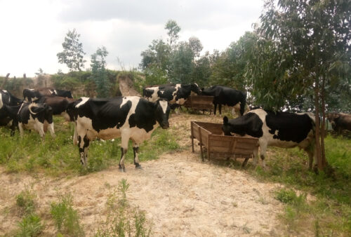 IMG_20221004_130011_108